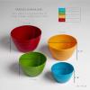 BINO Plastic Mini Prep Bowls with Lids Set – Plastic Bowl Set Prep Bowls for Kitchen(Multicolor)