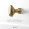 BINO 6-Pack Cabinet Knobs – 1.18″ Diameter (30mm), Brass – Dresser Knobs for Dresser Drawer Knobs and Pulls Knobs and Pulls Handles(Brass)