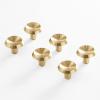 BINO 6-Pack Cabinet Knobs – 1.33″ Diameter (34mm), Brass – Dresser Knobs for Dresser Drawer Knobs and Pulls Knobs and Pulls Handles